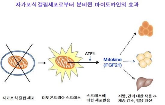 [사진제공=교육과학기술부]