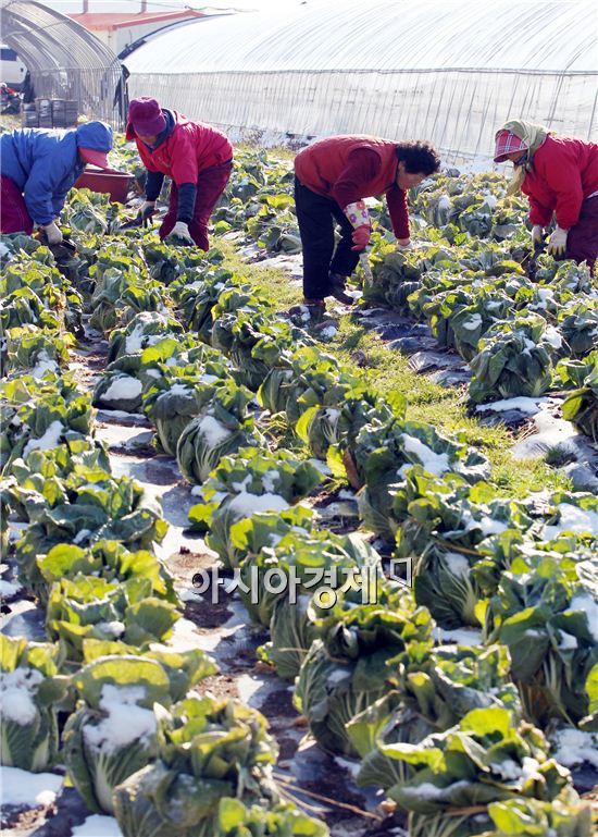 함평군 연말연시 사랑의 손길 이어져