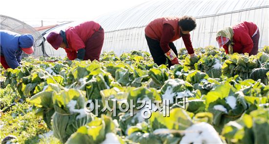 함평군 연말연시 사랑의 손길 이어져