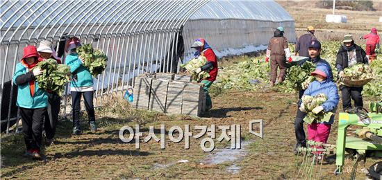 함평군 연말연시 사랑의 손길 이어져