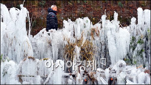 [포토]얼음나무 생긴 청계천