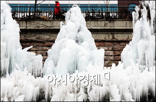 [포토]서울에 얼음나무