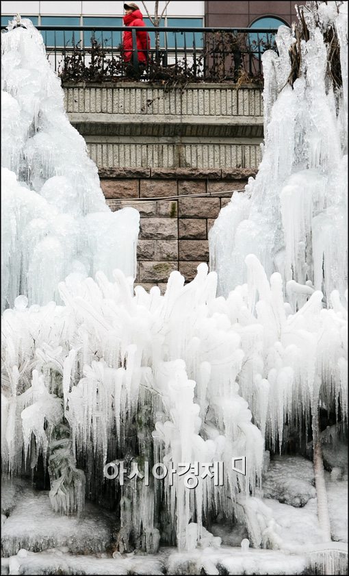 [포토]얼음나무 있는 청계천