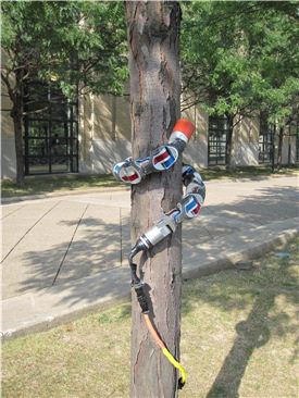 ▲ 카네기 멜론 대학이 개발한 뱀 로봇 '엉클샘'이 나무를 기어오르고 있다.