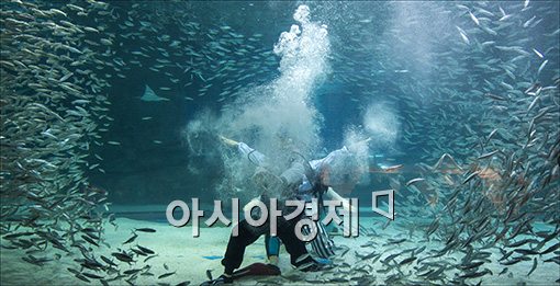 [포토]바다속 장풍