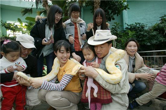 서울동물원 동양관내 뱀 페팅 체험모습