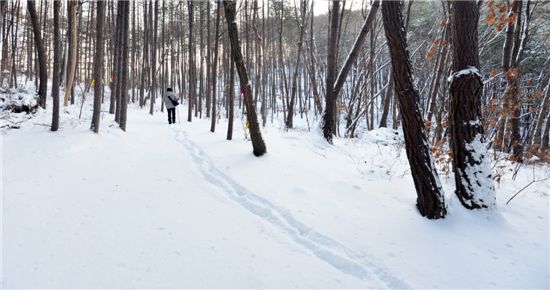 蛇行(강물이 가르쳐주네. 뱀처럼 굽이치는 지혜를)