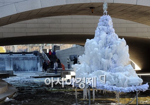 [포토]청계천의 얼음나무 