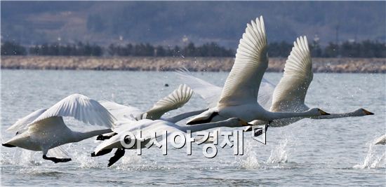 [포토]고니들의 새해 힘찬 도약 