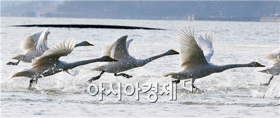 [포토]고니들의 새해 힘찬 도약