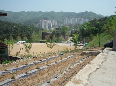 [팝니다]충남 천안시 안서동 토지