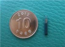 ▲ 10원짜리 동전 크기만한 내장형 전자칩(사진제공: 서울시)