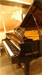 영창뮤직, 그랜드피아노 특별전