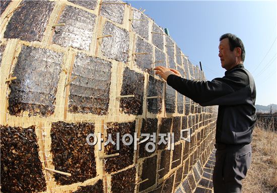 강진산 전통방식 수제 "김" 맛보세요!