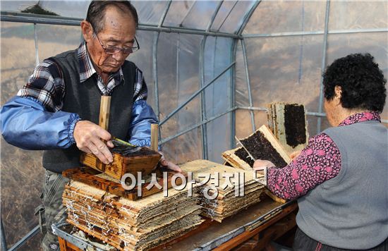 강진산 전통방식 수제 "김" 맛보세요!