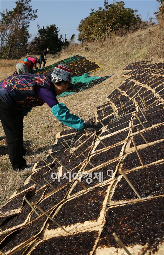 강진산 전통방식 수제 "김" 맛보세요!