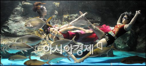[포토]물속에서 펼쳐진 뮤지컬