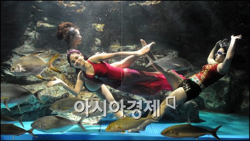 [포토]아름다운 뮤지컬을 물 속에서