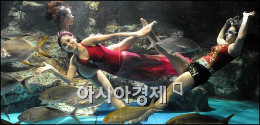 [포토]수중에서 펼쳐지는 '인어공주 이야기' 뮤지컬