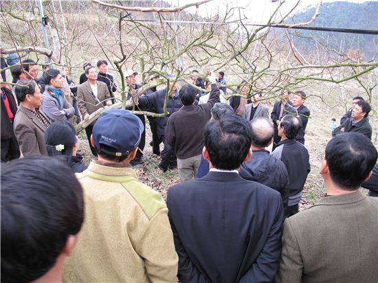 장성군, ‘과수 정지·전정 기술’ 지원