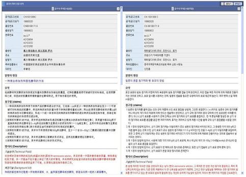 중·한 기계번역서비스 화면(전문번역 화면)