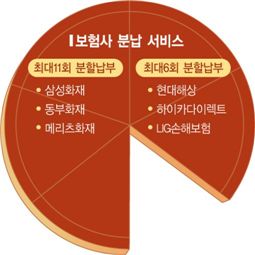 손보사, 車보험료 분납서비스 뜬다