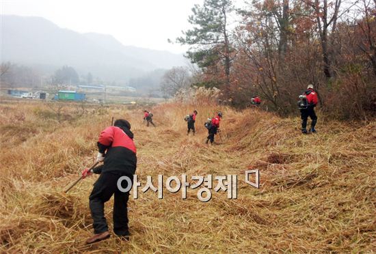 14일 산불감시원과 전문 진화대원, 공무원들이 산불발생 위험 빈도가 낮은 오전에 성전면 금당마을 산림연접지 풀베기 작업을 실시하고 있다.
