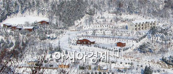 강진 주작산 휴양림 겨울 전경