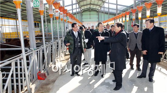 장흥군, 우량송아지 생산기지 초석 마련