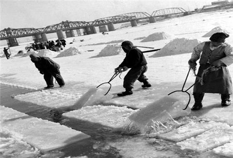 ▲ 한강 채빙광경 - 한강 얼음을 잘라 끌어올리는 모습(1957)
