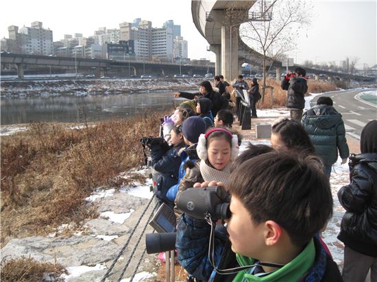 중랑천 철새 보러 가자 