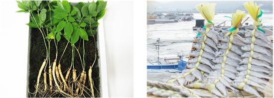 명절 선물, 똑똑하게 고르는 법! 