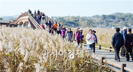 순천만을 찾은 관광객들