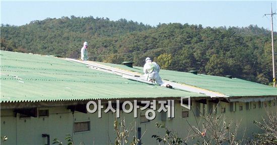 함평군 노후 슬레이트 처리 지원 한다