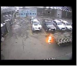 "온몸에 불 붙어 죽은 개" 충격적 사건 그 후