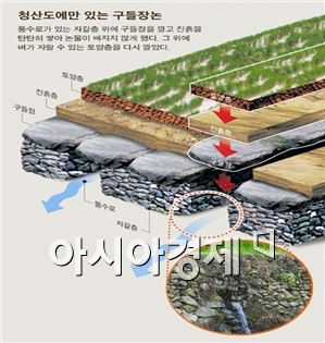 완도 구들장논, 전국 최초 ‘국가농업유산으로’