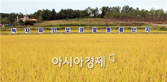 보성군, 2012년 친환경농업대상 "대상"수상