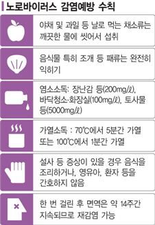 한겨울에 뒤탈 났네.. 노로바이러스 비상