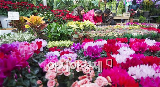 [포토]겨울속 봄