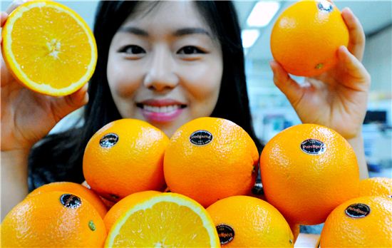 홈플러스, 고당도 '퓨어스펙 오렌지' 판매