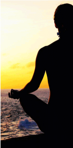 ['일'내라 Y] '힐링바람' 탄 창업이 뜬다 