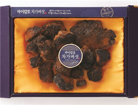 이마트, 러시아 산삼으로 불리는 차가버섯 판매