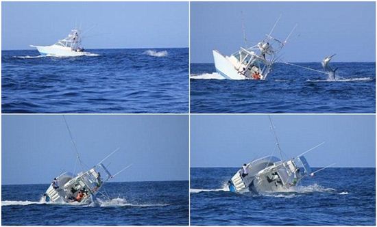 '노인과 바다' 실사판? 괴력의 물고기 화제