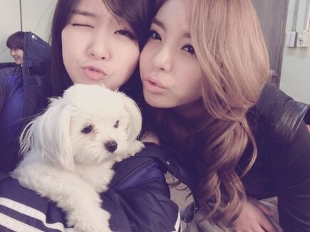 민아 에일리 인증샷, '다정한 친분 과시'