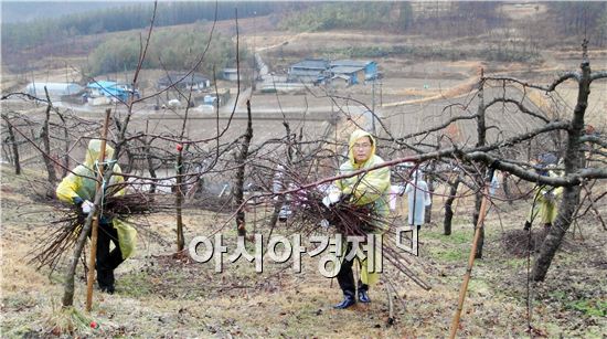 보성군, 새해도 노블레스 오블리주 봉사는 계속된다