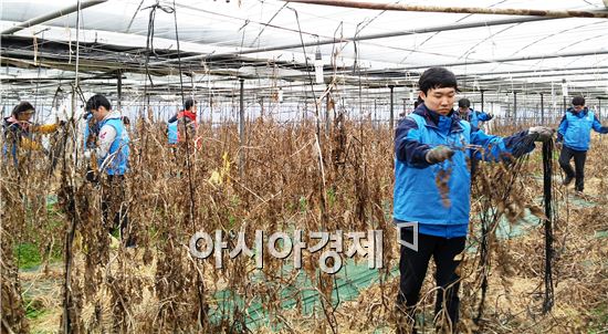 보성군, 새해도 노블레스 오블리주 봉사는 계속된다