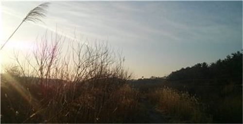 1억4000만년을 이어온 우포늪의 설, 철새들의 귀향