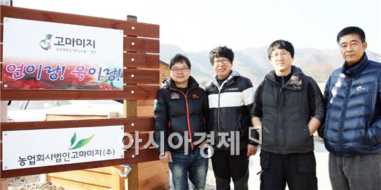 강진읍 강용태씨 딸기 농가에 설치된 (주)고마미지 간판 앞에서 오은택 대표, 강용태 이사, 이동춘 이사, 김정식 이사가 기념촬영을 하고 있다.