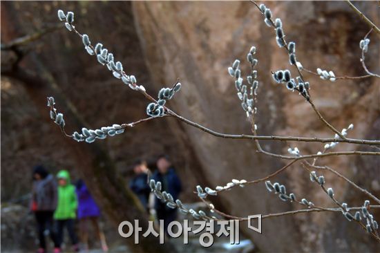 [포토]봄 맞이하는 등산객들