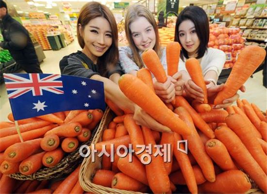 당근 효능 살펴보니…"눈 건강·감기·비염 등에 효과적"